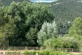 Photograph of Lone Duck Family Campground And Cabins, Cascade