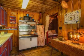 Photograph of Buckeye's Cabin, Leadville