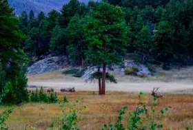 Photograph of Grand Mountain Rentals, Grand Lake