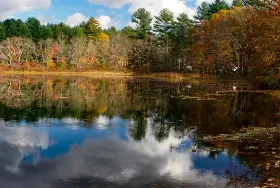 Photograph of River Bend Campground, Oneco