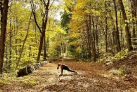 Photograph of Macedonia Brook State Park Campground, Kent