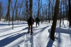 Photograph of Hurd State Park Campground, East Hampton