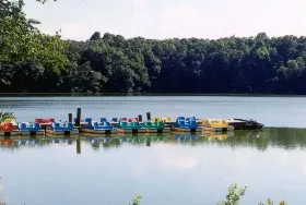 Photograph of Killens Pond State Park, Felton