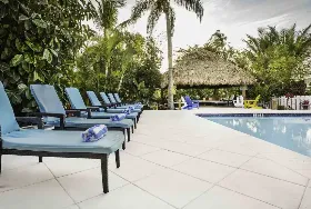 Photograph of Siesta Key Palms, Sarasota