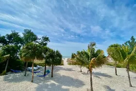 Photograph of Molloy Gulf Motel, Treasure Island