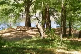 Photograph of Suwannee River Rendezvous Resort, Mayo