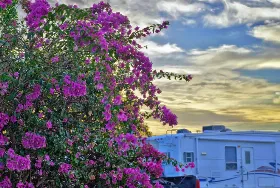 Photograph of Floridays RV Park, Hobe Sound