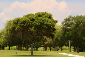 Photograph of Elite Resorts at Citrus Valley, Clermont