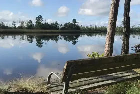 Photograph of Ochlockonee River State Park Campground, Sopchoppy