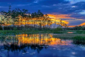 Photograph of Zachary Taylor Camping Resort, Okeechobee