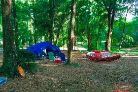 Photograph of Suwannee River RV Park and Campground, Live Oak