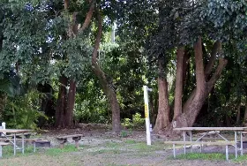 Photograph of Davie / Ft. Lauderdale KOA Holiday, Davie