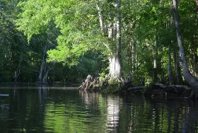 Photograph of Ocklawaha Canoe Outpost & Resort, Fort McCoy