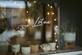 Photograph of Lotus Noodle Bar, Saint Augustine