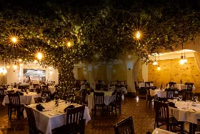 Photograph of Firefly, Panama City Beach