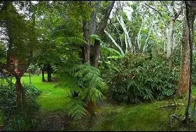 Photograph of Crater Rim Cabin, Volcano