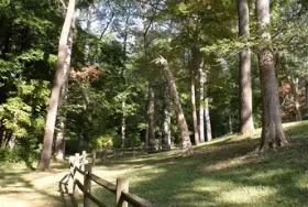 Photograph of Mounds State Park, Anderson