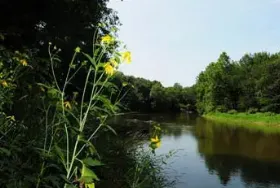 Photograph of Tippecanoe River State Park, Winamac