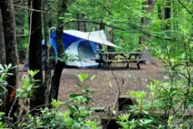 Photograph of White Oaks Campground, Monticello