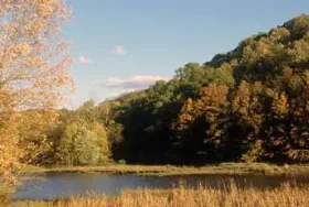Photograph of Versailles State Park, Versailles