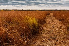 Photograph of Chichaqua Bottoms Greenbelt, Maxwell