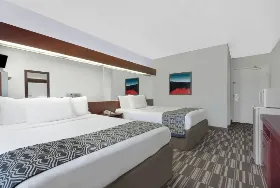 Photograph of Microtel Inn & Suites, London