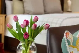 Photograph of 1853 Inn at Woodhaven, Louisville