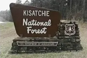 Photograph of Caney Lake/kisatchie National Forest, Minden