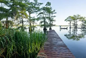 Photograph of Lake Bistineau State Park, Doyline