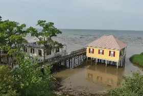Photograph of Fontainebleau State Park, Mandeville