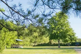 Photograph of Alice's RV Park, Opelousas