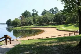 Photograph of Kisatchie National Forest- 5, Homer