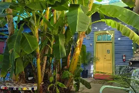 Photograph of Creole Gardens Guesthouse Bed and Breakfast, New Orleans