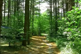 Photograph of Windsong Campground, Parsonsfield