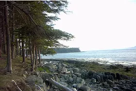 Photograph of Warren Island State Park, Lincolnville
