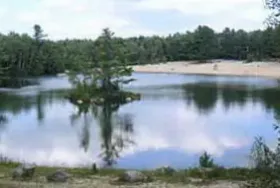 Photograph of White's Beach & Campground Inc, Brunswick