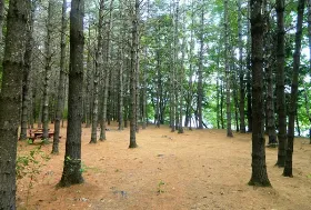 Photograph of Stony Brook Recreation and Camping, Hanover