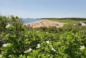 Photograph of Reid State Park, Georgetown