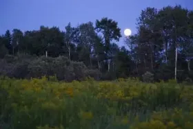 Photograph of Magic Pond Artist's Retreat And Wildlife Sanctuary, Blaine