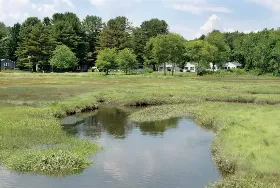Photograph of Cottage in the Lane Motor Lodge, Wells
