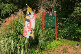 Photograph of Inn At Mitchell House and Cottage, Chestertown