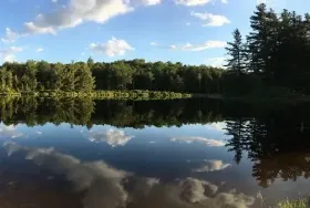 Photograph of Camp Timber Trails, Tolland