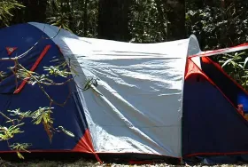 Photograph of The Pines Campground, Ashby