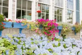 Photograph of An English Garden Bed & Breakfast, Dennis Port