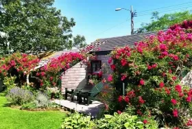 Photograph of The Summer House - Fair St., Nantucket