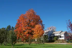 Photograph of Kenburn Orchards Bed & Breakfast, Shelburne