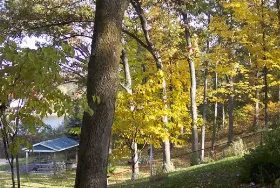 Photograph of Lakeside Motel & Cottages, Harrison