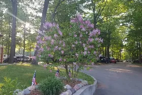 Photograph of Duke Creek Campground, Cedar Springs