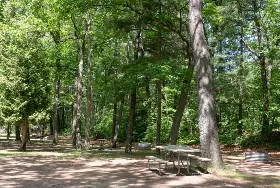 Photograph of Sleeper State Park, Caseville
