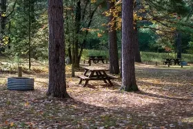 Photograph of Pigeon Bridge State Forest Campground, Vanderbilt